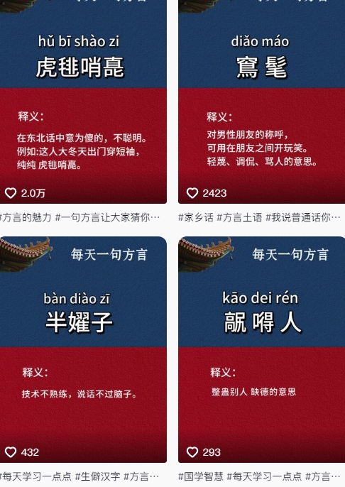 抖音最新涨粉玩法，图文方言暴力涨粉实操，126作品涨粉11W-米壳知道—知识分享平台