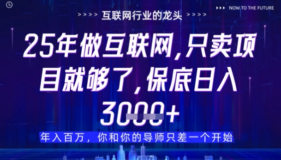 什么！25年你还在找项目做？风口早就变了，卖项目才是稳挣不赔【揭秘】-米壳知道—知识分享平台