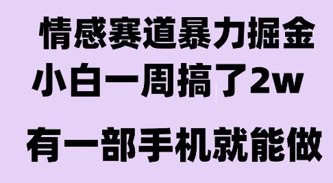 情感暴力掘金项目，新人操作一周挣了2W，长期稳定小白可做【揭秘】-米壳知道—知识分享平台