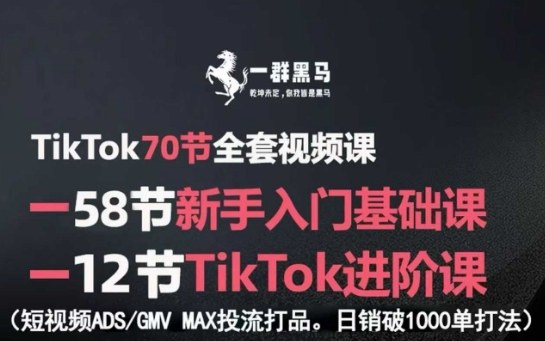 TikTok全套视频课，新手入门+进阶课，短视频ADS-GMV MAX投流打品，日销破1000单打法-米壳知道—知识分享平台