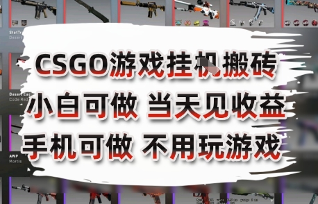 CSGO游戏挂G搬砖，小白纯手机即可操作，不用电脑打游戏，日入3张+，副业网创项目【揭秘】-米壳知道—知识分享平台