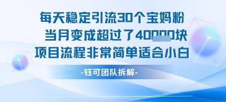 每天稳定引流30个人 当月变成超过了4个W项目流程非常简单适合小白-米壳知道—知识分享平台