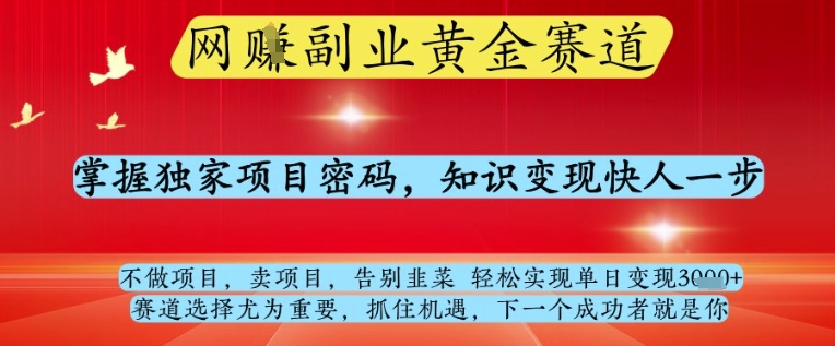 网创副业黄全赛道，掌握独家项目密码，知识变现快人一步，告别韭菜轻松实现单日变现1k+【揭秘】-米壳知道—知识分享平台