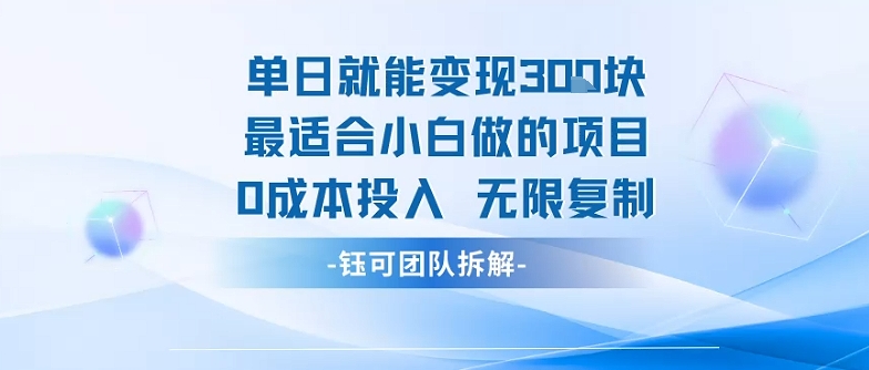 单日就能变现3张最适合小白做的项目0成本投入 无限复制-米壳知道—知识分享平台