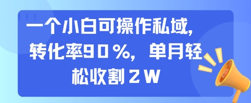 一个小白可操作私域，转化率90%，单月轻松收割2W-米壳知道—知识分享平台