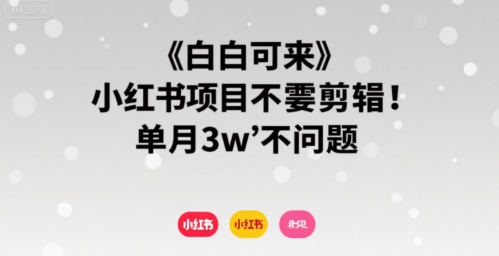 小白可来 小红书项目不需要剪辑 单月3w不是问题-米壳知道—知识分享平台