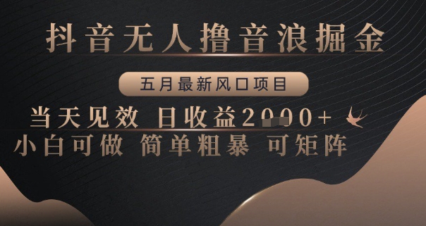 抖音无人撸音浪掘金，五月最新风口项目，当天见效，日收益多张，小白可做简单粗暴可矩阵【揭秘】-米壳知道—知识分享平台
