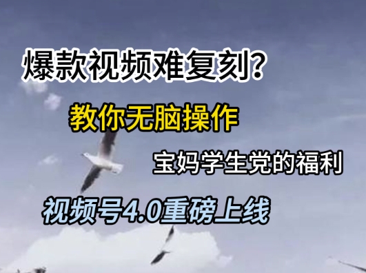视频号4.0重磅上线，爆款视频难复刻？教你无脑操作宝妈学生党的福利【揭秘】-米壳知道—知识分享平台