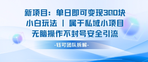新项目单日即可变现3张的小白玩法无脑操作不封号安全引流-米壳知道—知识分享平台