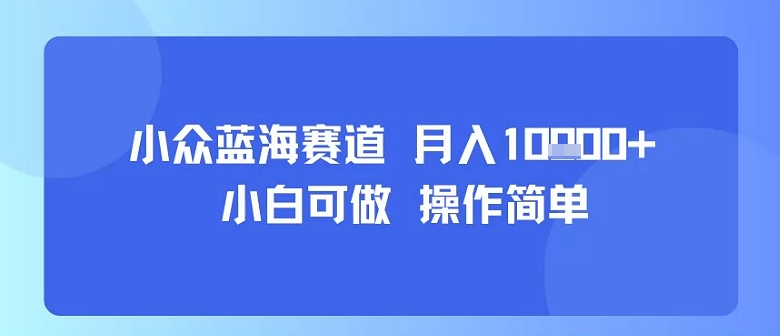 小众蓝海赛道，小白可做，操作简单，每天30分钟，月入1W+-米壳知道—知识分享平台