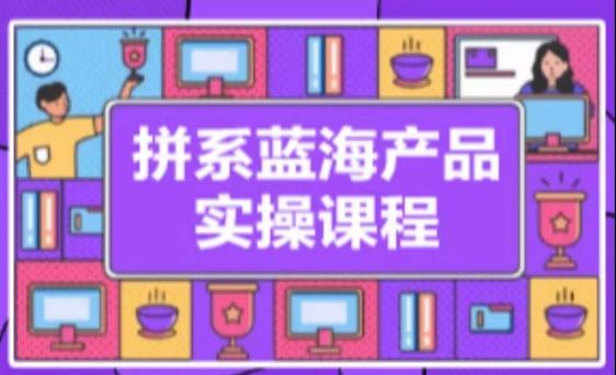 拼系冷门蓝海产品实操课程，从注册店铺到选品上架到流量维护环环相扣-米壳知道—知识分享平台
