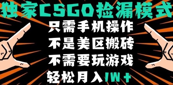 CSGO自动捡漏项目，最新独家玩法，不是美区搬砖，不需要了解和玩游戏，新手小白轻松月入1W+【揭秘】-米壳知道—知识分享平台