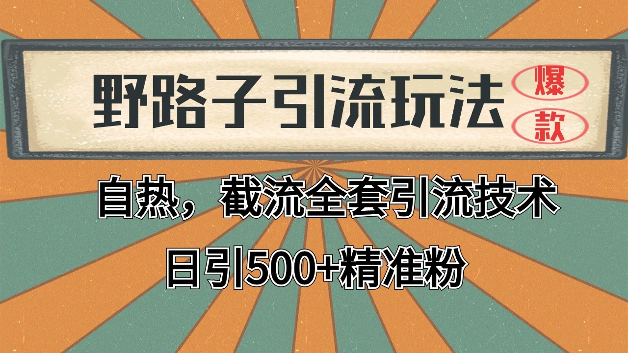 2024首发野路子引流玩法截流自热全平台打法，全自动引流【日引2000+精准客户】-米壳知道—知识分享平台