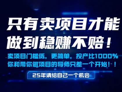 只有卖项目才能做到稳挣不赔，门槛低，更简单，你也可以年入百个W【揭秘】-米壳知道—知识分享平台