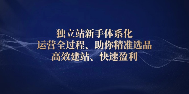 独立站新手体系化 运营全过程，助你精准选品、高效建站、快速盈利-米壳知道—知识分享平台