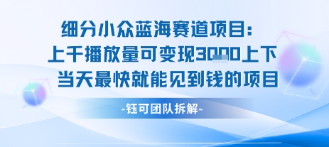 小众蓝海赛道项目：当天变现1k+适合新手操作 +适合长期玩-米壳知道—知识分享平台