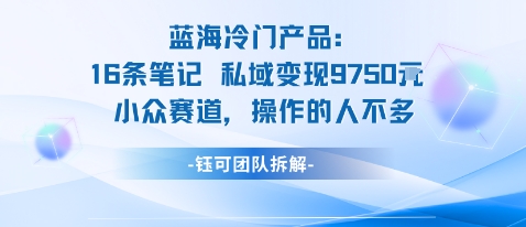 蓝海项目:16条笔记私域变现9750米小众赛道操作的人不多-米壳知道—知识分享平台