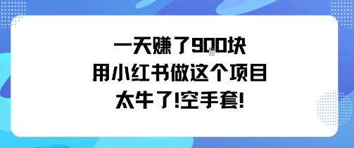 一天挣了9张用小红书做这个项目太牛了，空手套-米壳知道—知识分享平台